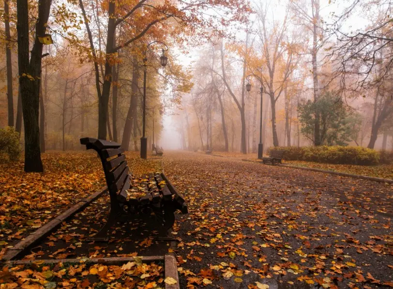 Что посмотреть в Кировской области и что привезти из региона