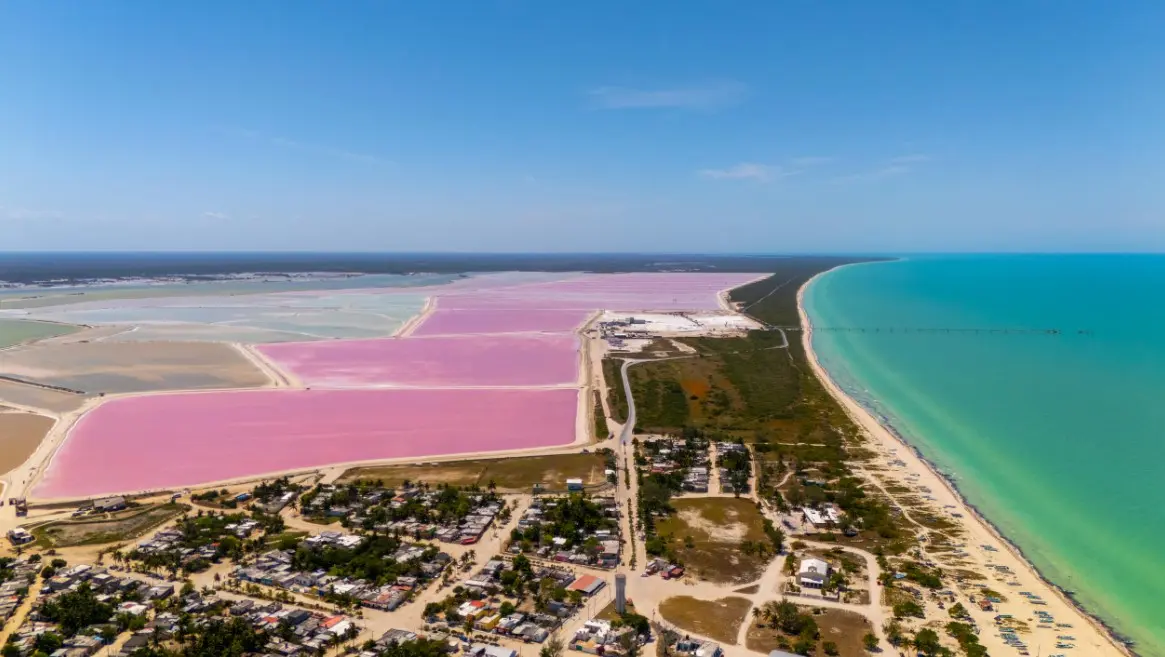 Достопримечательности Мексики и природные достопримечательности — заповедник Рио-Лагартос с мангровыми лагунами и розовыми озёрами