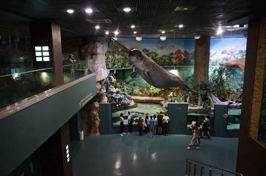 Москвариум на ВДНХ — одно из самых интересных развлечений для детей в Москве