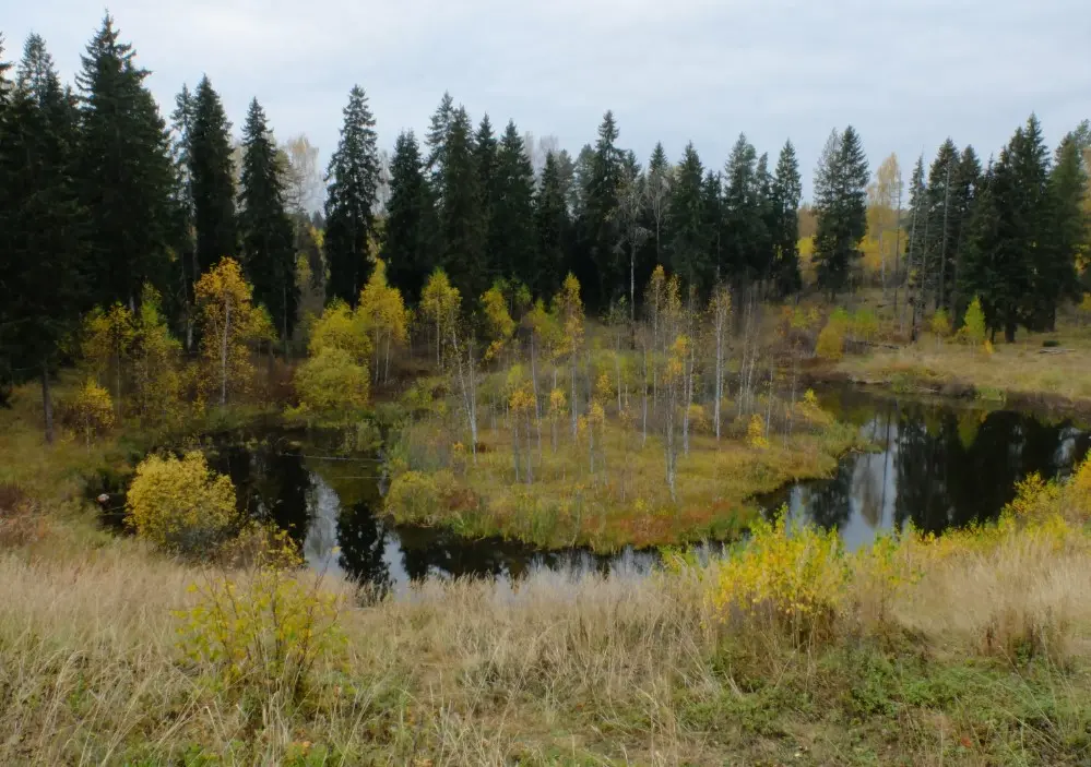 Природные и археологические достопримечательности Владимирской области — Поганая лохань