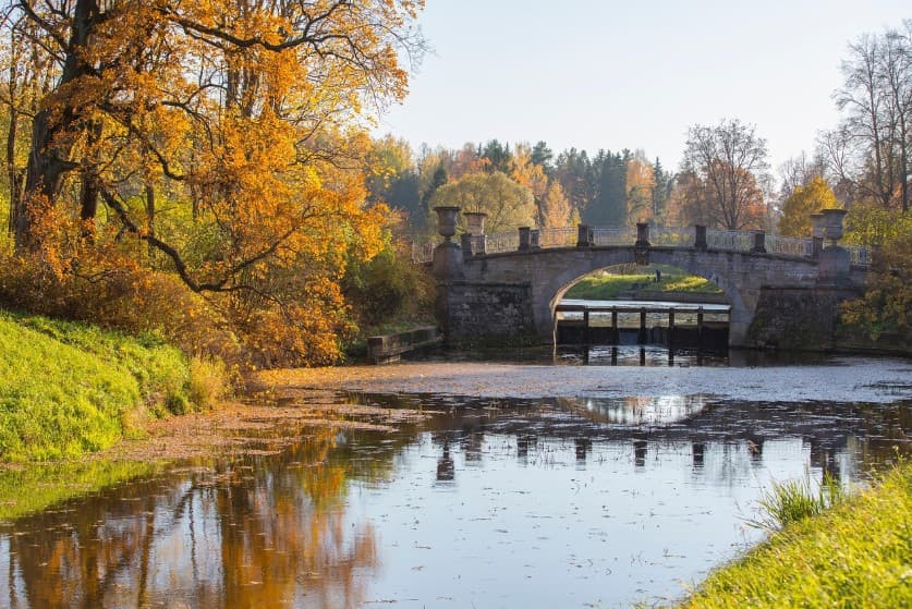 Крупные парки и сады Санкт-Петербурга