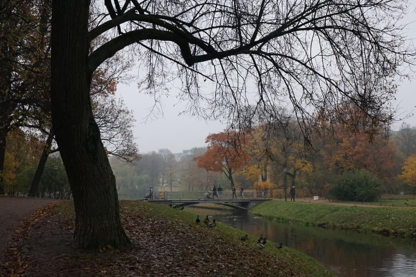 Крупные парки Санкт-Петербурга — Таврический сад осенью с аллеями, мостиком и прудом
