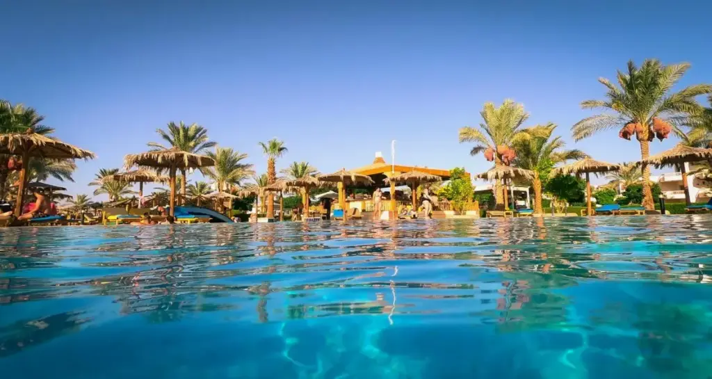 Вид на бассейн и пальмы передаёт атмосферу отдыха и отражает погоду по месяцам в Египте, включая условия февраля.