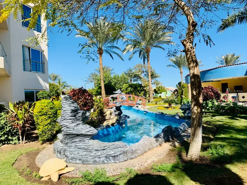 Зелёная территория курорта и чистое небо передают атмосферу отдыха и показывают погоду по месяцам в Египте, включая мягкие условия сентября.