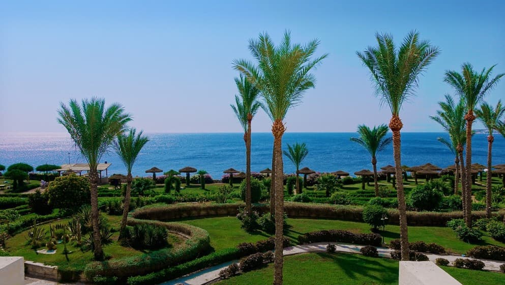 Когда лучше ехать в Египет — пляжный отдых у Красного моря с пальмами и отелями