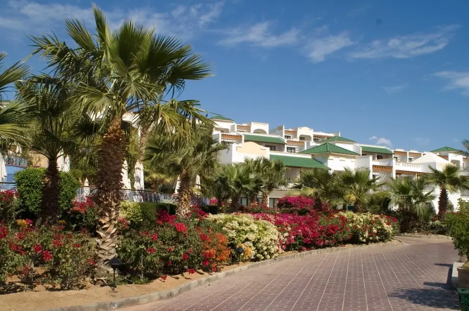 Отель среди пальм и цветов в Шарм-эль-Шейхе — один из лучших курортов для отдыха в Египте.