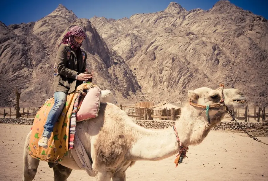 Турист едет на верблюде в пустыне Египта в сезон песчаных бурь.