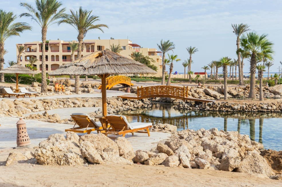 Когда лучше ехать в Египет — курортный отдых с пальмами, отелями и бассейнами у моря