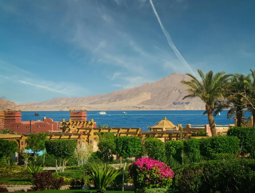 Когда лучше ехать в Египет — курорт на Красном море с пальмами, горами и видом на залив