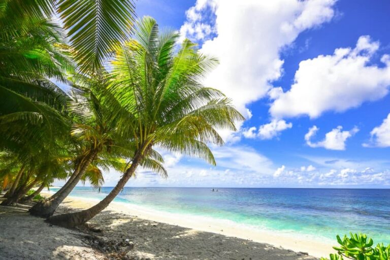 Отдых на Мальдивах: тропический пляж с пальмами, белый песок и лазурный океан