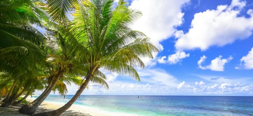 Отдых на Мальдивах: тропический пляж с пальмами, белый песок и лазурный океан