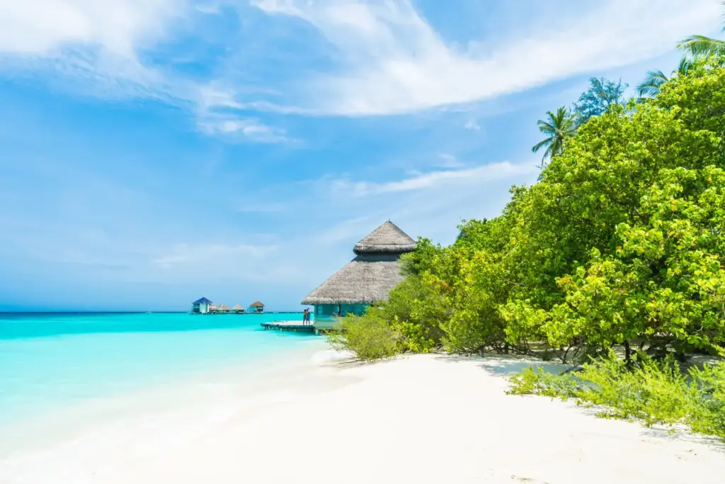 Когда ехать на Мальдивы — солнечный пляж, спокойная бирюзовая вода и тропическая погода