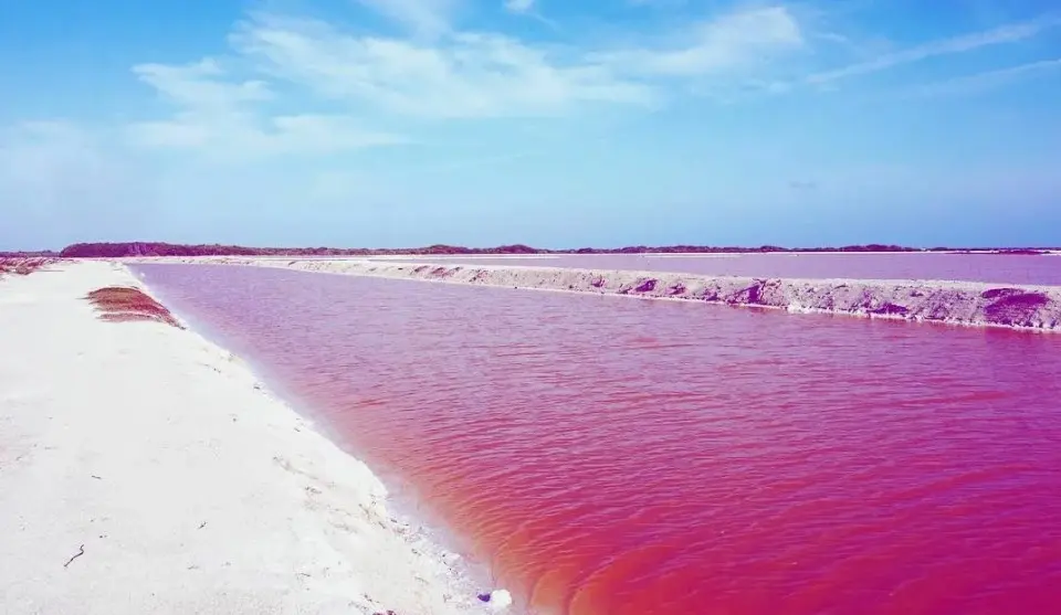 Достопримечательности Мексики и природные достопримечательности — заповедник Рио-Лагартос с мангровыми лагунами и розовыми озёрами