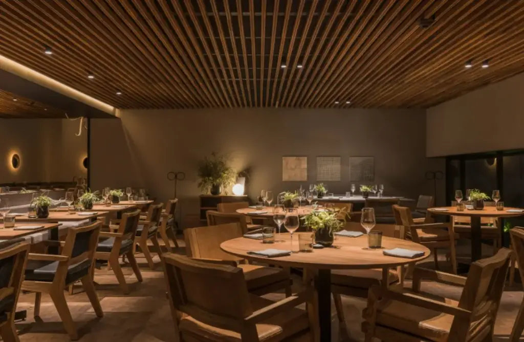 Отдых в Мексике: что посмотреть и где поесть в Мексике — рестораны и кафе, знаменитый ресторан Pujol в Мехико