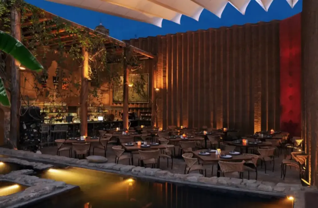 Отдых в Мексике: что посмотреть и где поесть в Мексике — рестораны, Los Danzantes в Мехико