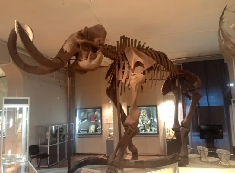 Куда поехать из Екатеринбурга — музеи и культурные объекты, Музей природы Урала