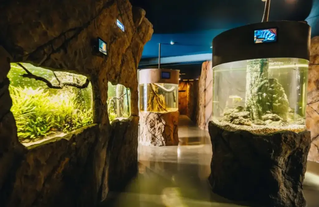 Куда поехать из Екатеринбурга — куда поехать с детьми, океанариум в городе