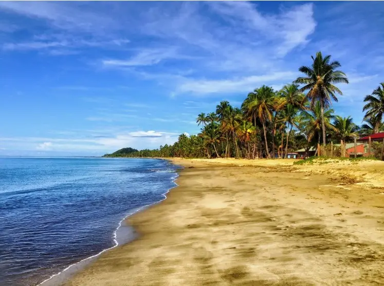 Чартерные и регулярные рейсы: что выбрать для тура — песчаный пляж с пальмами у спокойного моря, иллюстрация выбора перелёта и формата отдыха