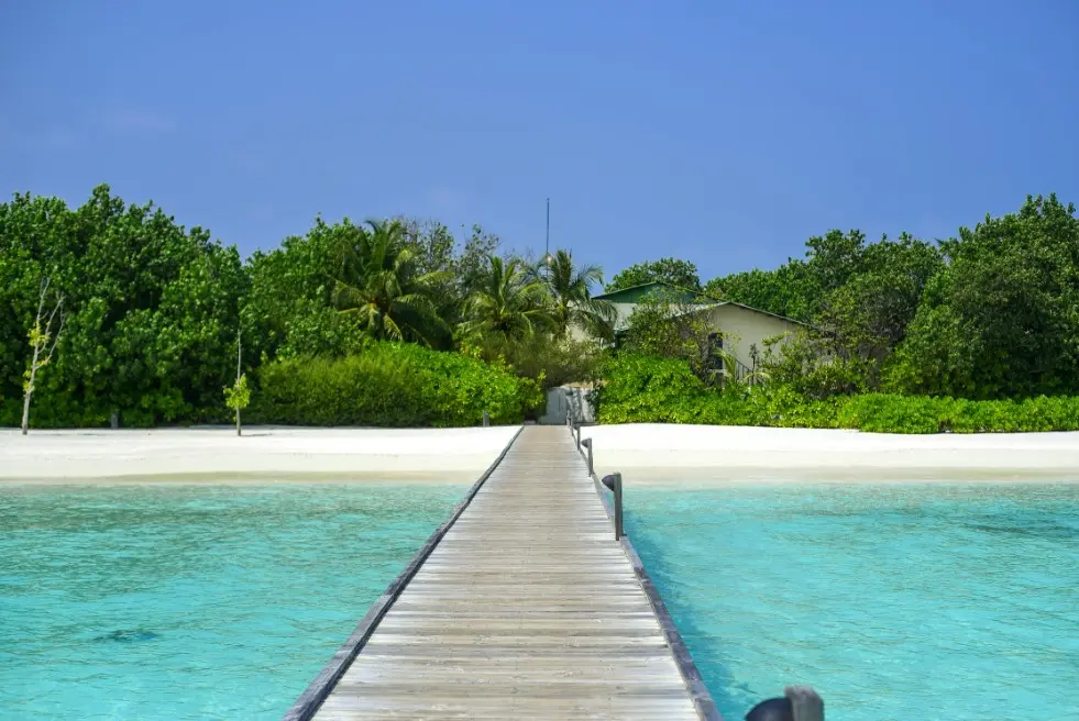 Что лучше: горящие туры или раннее бронирование — пирс к белому пляжу и бирюзовой лагуне