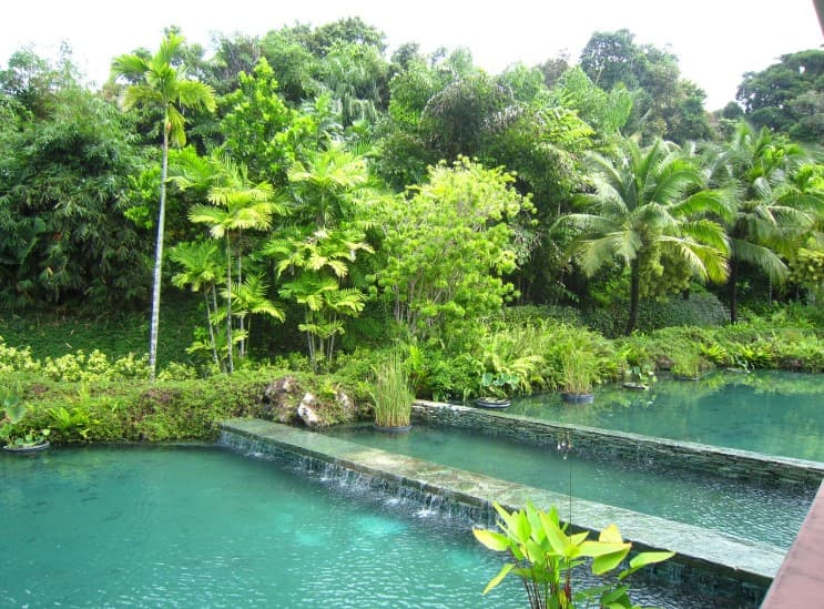 Что такое чартерный рейс в туре: тропический отель с бассейном и пальмами, спокойная зона отдыха среди зелени