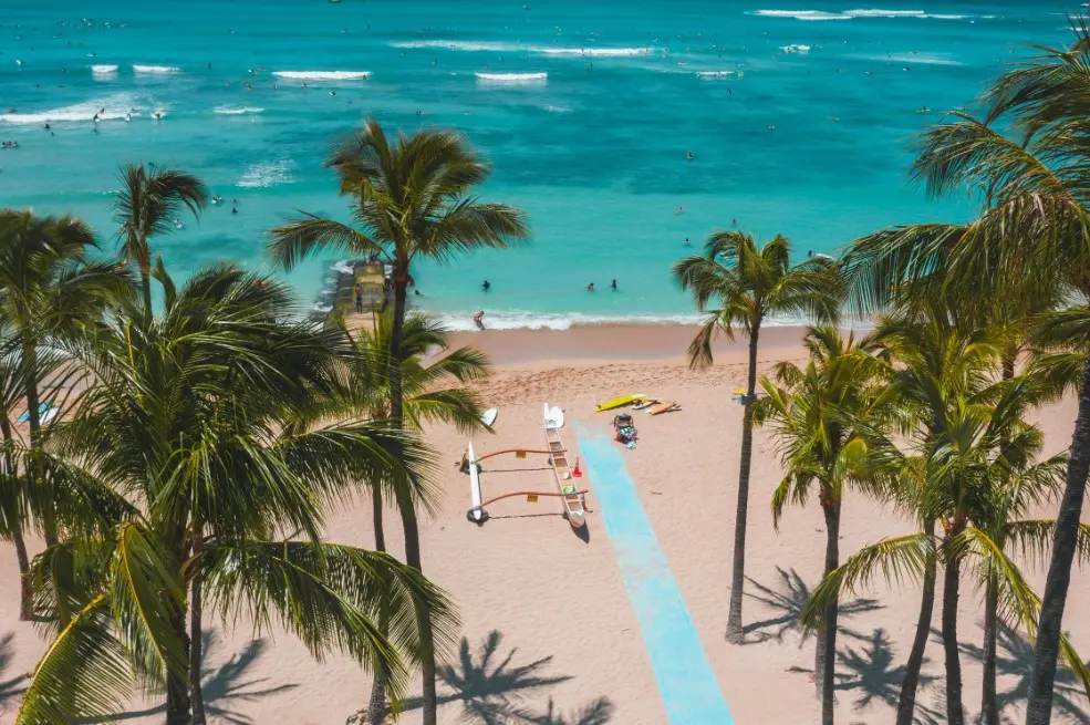 Что такое раннее бронирование туров — пляж с пальмами и бирюзовым морем