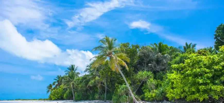 Что такое раннее бронирование туров — тропический пляж и бирюзовая вода