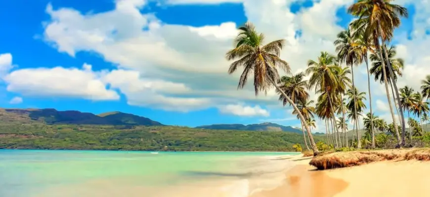 Что входит в стоимость тура — тропический пляж с пальмой и бирюзовой водой.