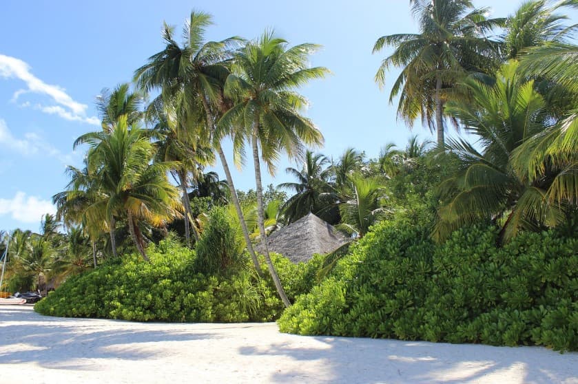 Что входит в страховку тура — тропический пляж с белым песком, пальмами и бунгало среди зелени.