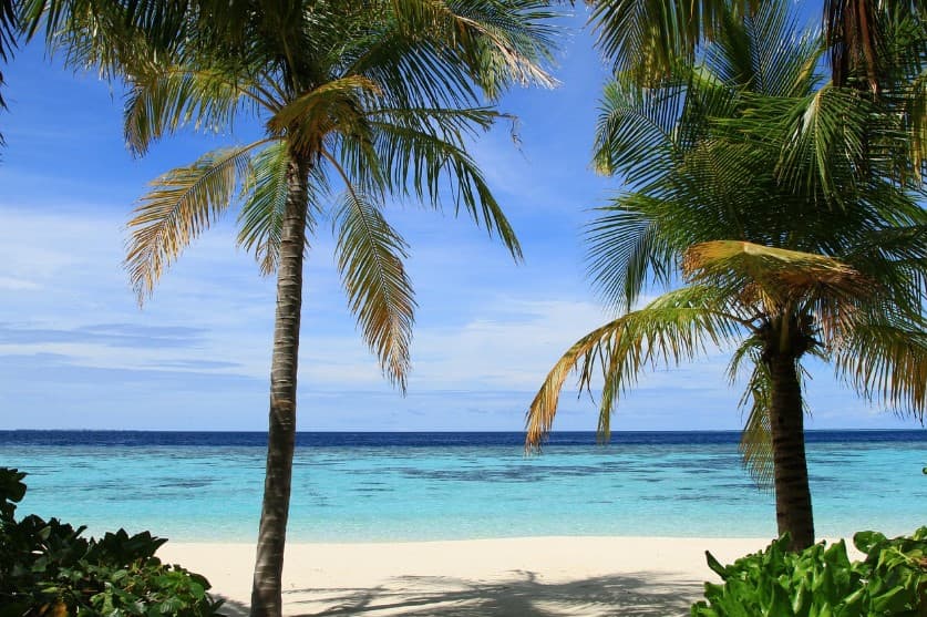 Что входит в страховку тура — вид на океан с белым пляжем и пальмами на берегу.