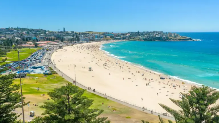 Где покупать дешевые туры и как выбрать хороший — пляж и море