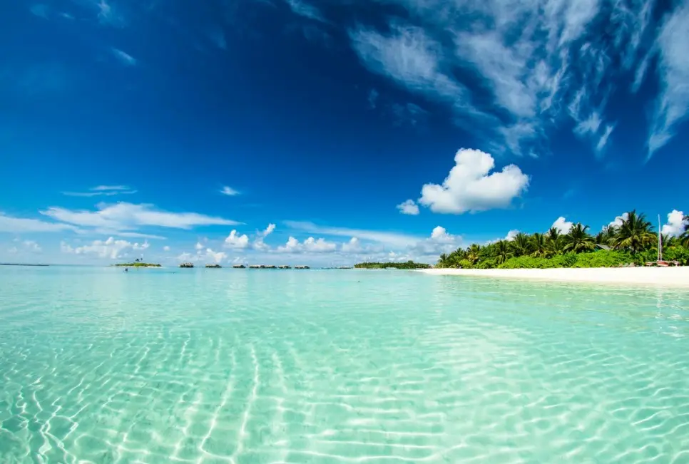 Где покупать дешевые туры и как выбрать хороший — бирюзовое море и белый пляж