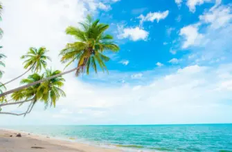 Горящий тур: что это такое, где искать и как купить выгодно — тропический пляж с пальмами и бирюзовым морем