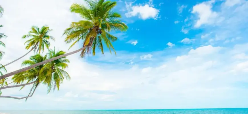 Горящий тур: что это такое, где искать и как купить выгодно — тропический пляж с пальмами и бирюзовым морем