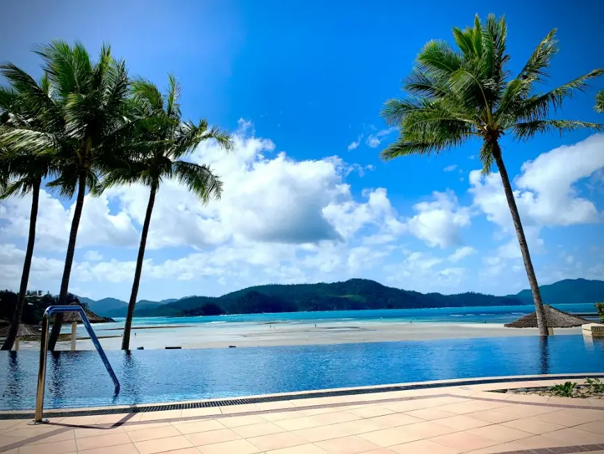 Как искать дешёвые туры по календарю цен — пляж с пальмами и видом на море