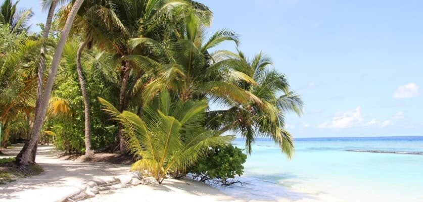 Как лучше оформить визу самостоятельно или через турагентство — пальмы на белом песчаном пляже у спокойного моря.