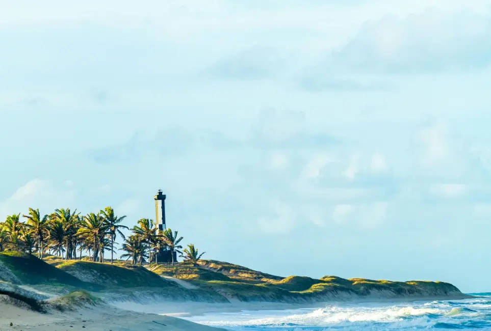 Как меняется цена на туры в течение дня — песчаное побережье с пальмами, маяком и океанскими волнами на горизонте