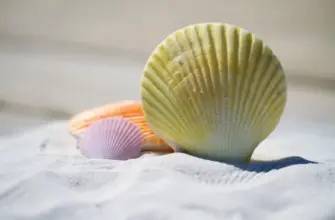 Какие документы выдает турагентство при покупке тура: договор, чек, ваучер и страховой полис