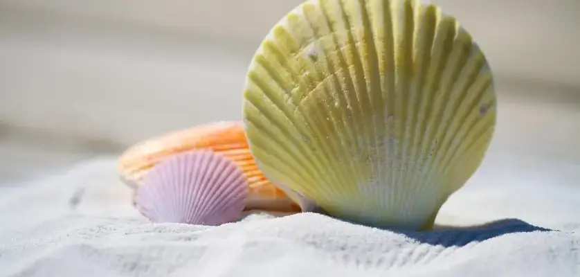 Какие документы выдает турагентство при покупке тура: договор, чек, ваучер и страховой полис