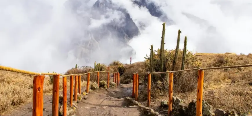 Лучшее время суток для экскурсии: утро/день/вечер — тропа среди вулканического пейзажа с паром и ограждением по краям.