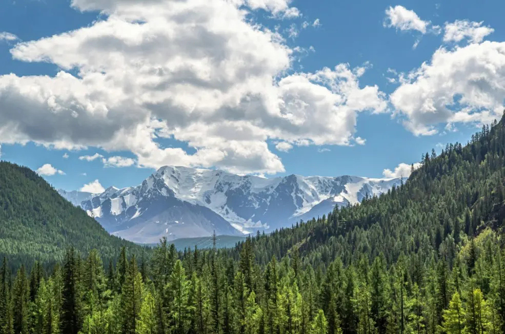 Горный Алтай — одно из направлений, куда лучше ехать в несезон для уединённого отдыха