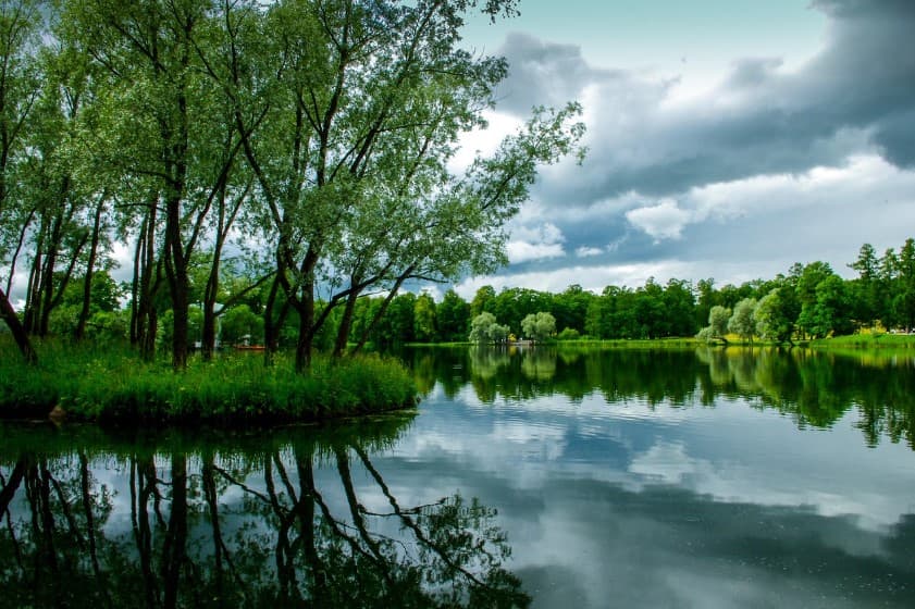 Незабываемые виды экскурсий на природе — тихое озеро с отражением деревьев и облаков