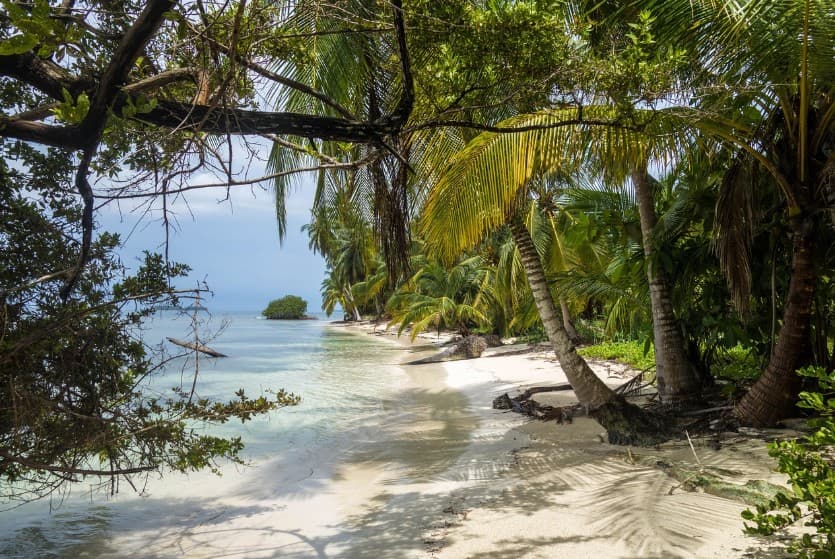 От чего зависит цена тура: топливный, курортный и регулярный сборы — тропический пляж с пальмами и белым песком.