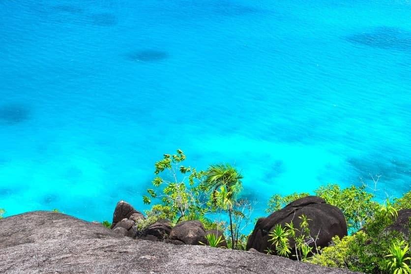 Пакетный тур для новичков: как выбрать идеальный маршрут — панорамный вид на ярко-бирюзовое море с берега среди скал и зелени