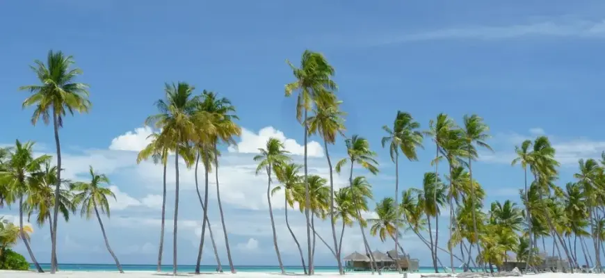 Почему платить за туры онлайн надежнее, чем наличными — пляж с пальмами и бирюзовой водой