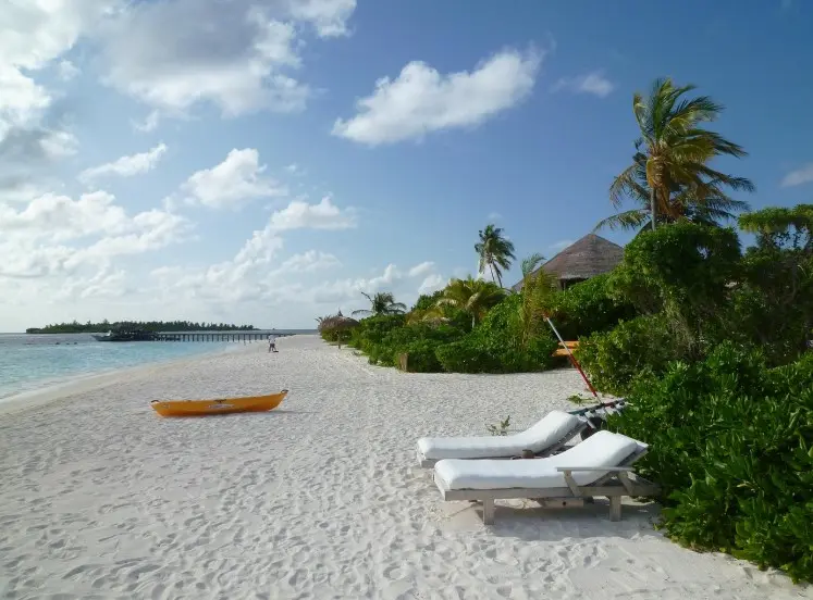Страховка от невыезда: когда нужна и как работает — белый песчаный пляж, шезлонги у воды и тропическая зелень на курорте.