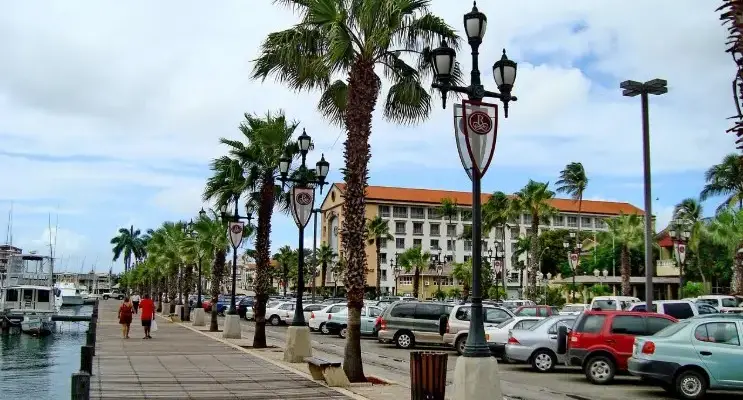 Туры или самостоятельные поездки: что выгоднее и когда — набережная с пальмами у моря