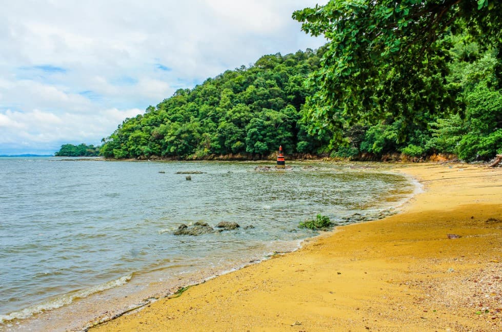Туры покупать заранее или в последний момент — тихий песчаный пляж у зелёных холмов, спокойное море и навигационный буй у берега