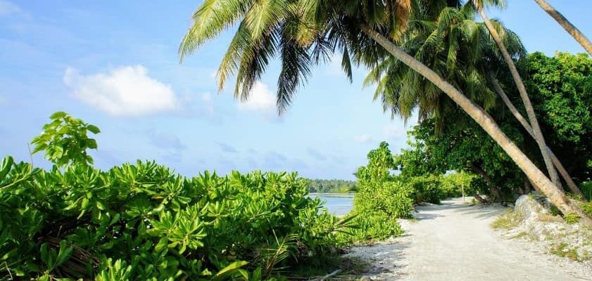 Туры с лоукостером: как сэкономить на отдыхе — тропический пляж с пальмами и бирюзовым морем