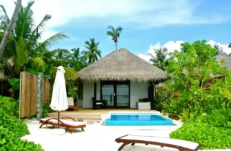 Туры со спецпредложениями: «фортуна», «рулетка», промо — что выбрать: тропический бунгало-отель с бассейном и пальмами у моря