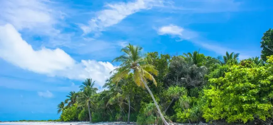 Туры всё включено: кому подходят и на чём часто экономят — тропический пляж и отдых у моря